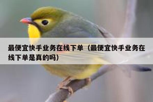 最便宜快手业务在线下单（最便宜快手业务在线下单是真的吗） 第1张