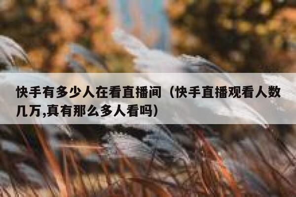 快手有多少人在看直播间（快手直播观看人数几万,真有那么多人看吗） 第1张