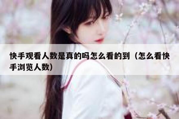 快手观看人数是真的吗怎么看的到（怎么看快手浏览人数） 第1张