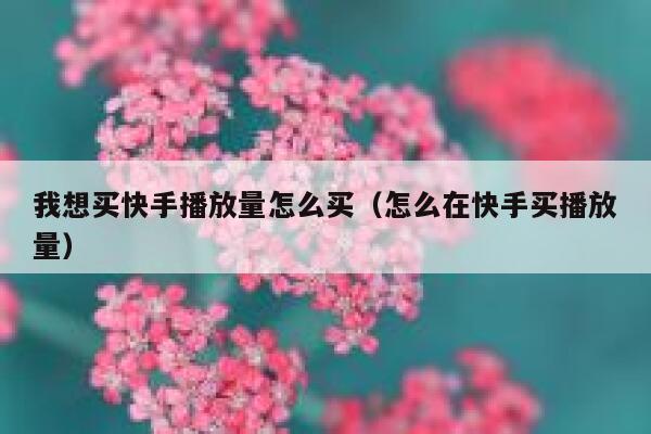 我想买快手播放量怎么买（怎么在快手买播放量） 第1张