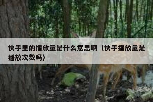 快手里的播放量是什么意思啊（快手播放量是播放次数吗） 第1张