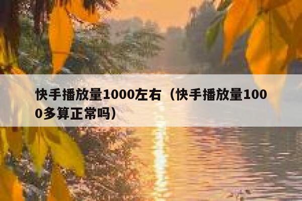 快手播放量1000左右（快手播放量1000多算正常吗） 第1张