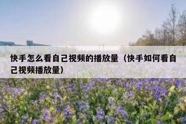 快手怎么看自己视频的播放量（快手如何看自己视频播放量） 第1张