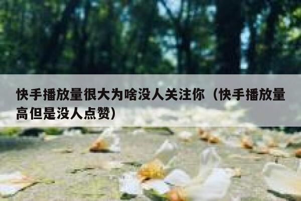 快手播放量很大为啥没人关注你（快手播放量高但是没人点赞） 第1张