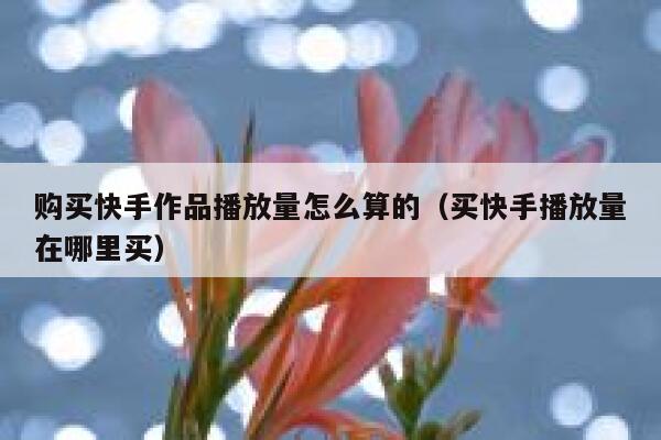 购买快手作品播放量怎么算的（买快手播放量在哪里买） 第1张