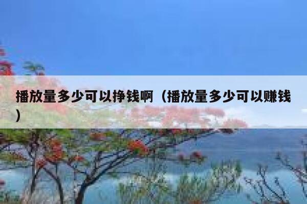 播放量多少可以挣钱啊（播放量多少可以赚钱） 第1张