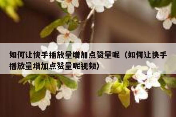 如何让快手播放量增加点赞量呢（如何让快手播放量增加点赞量呢视频） 第1张