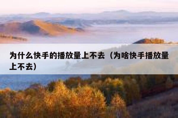 为什么快手的播放量上不去（为啥快手播放量上不去） 第1张