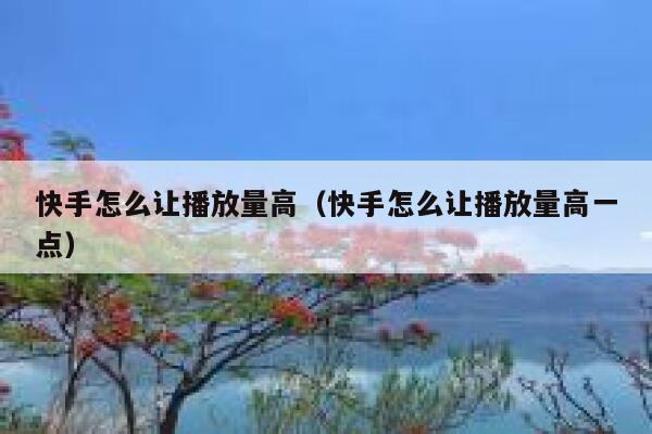 快手怎么让播放量高（快手怎么让播放量高一点） 第1张