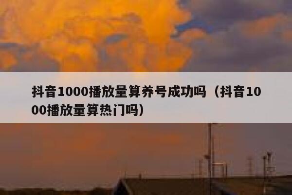 抖音1000播放量算养号成功吗（抖音1000播放量算热门吗） 第1张