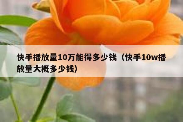 快手播放量10万能得多少钱（快手10w播放量大概多少钱） 第1张