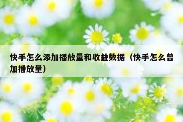 快手怎么添加播放量和收益数据（快手怎么曾加播放量） 第1张