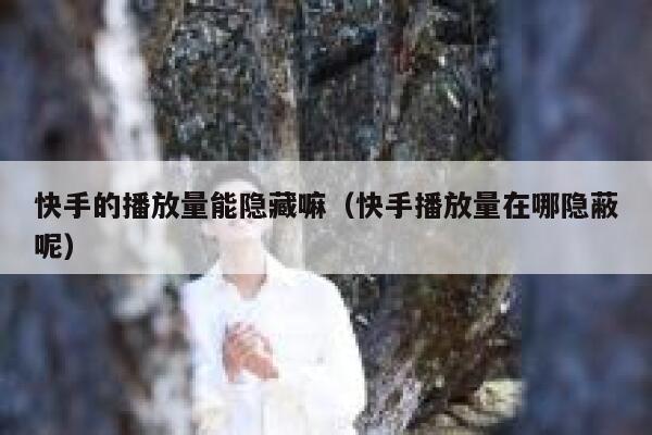 快手的播放量能隐藏嘛（快手播放量在哪隐蔽呢） 第1张