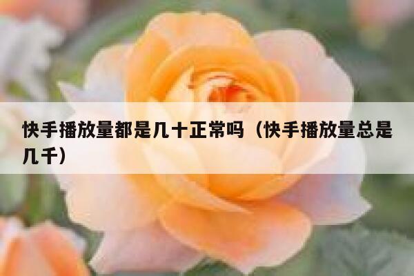 快手播放量都是几十正常吗（快手播放量总是几千） 第1张