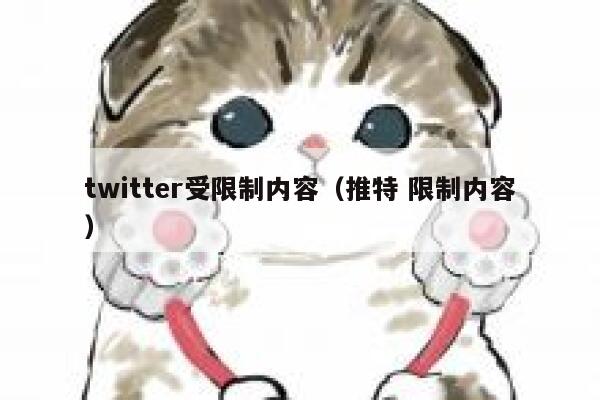 twitter受限制内容（推特 限制内容） 第1张
