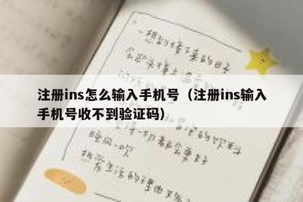 注册ins怎么输入手机号（注册ins输入手机号收不到验证码） 第1张