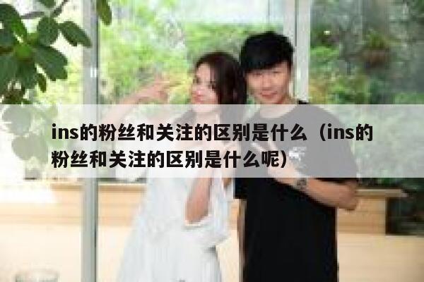 ins的粉丝和关注的区别是什么（ins的粉丝和关注的区别是什么呢） 第1张