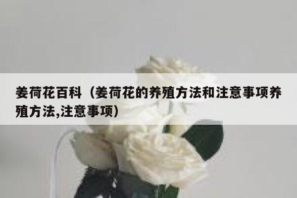 姜荷花百科（姜荷花的养殖方法和注意事项养殖方法,注意事项） 第1张