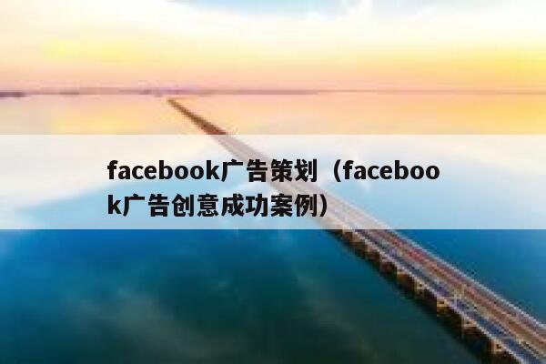 facebook广告策划（facebook广告创意成功案例） 第1张