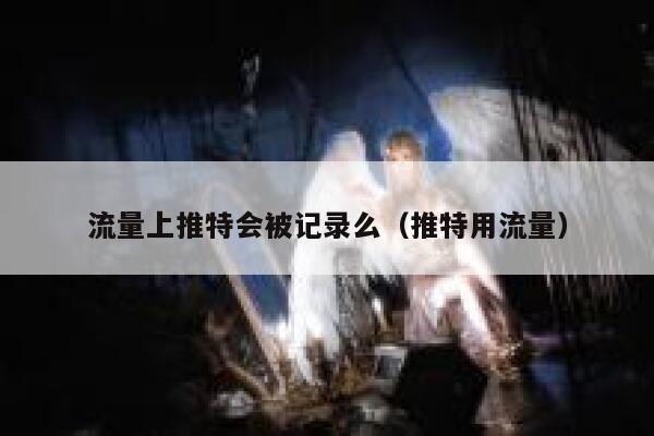 流量上推特会被记录么（推特用流量） 第1张