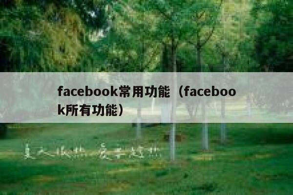 facebook常用功能（facebook所有功能） 第1张