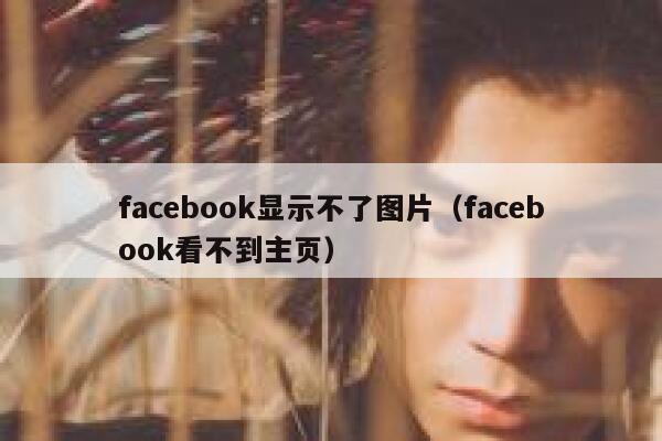 facebook显示不了图片（facebook看不到主页） 第1张