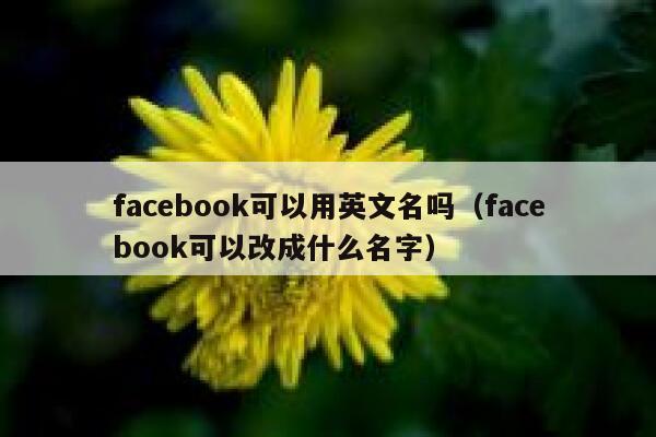 facebook可以用英文名吗（facebook可以改成什么名字） 第1张