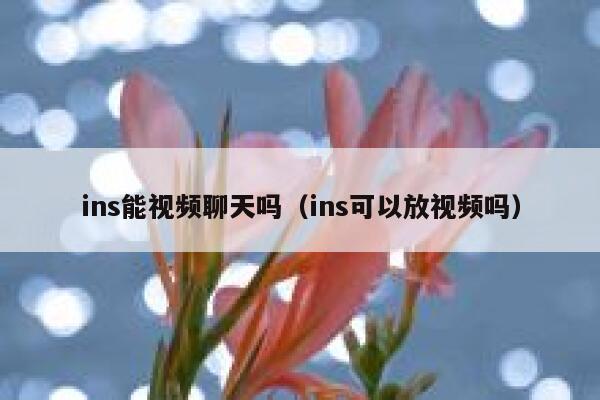 ins能视频聊天吗（ins可以放视频吗） 第1张