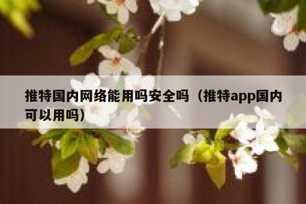 推特国内网络能用吗安全吗（推特app国内可以用吗） 第1张