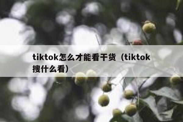tiktok怎么才能看干货（tiktok搜什么看） 第1张