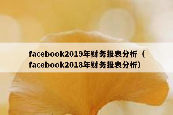facebook2019年财务报表分析（facebook2018年财务报表分析） 第1张