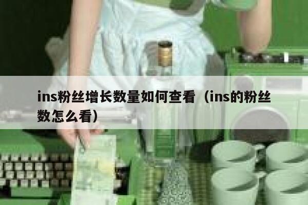 ins粉丝增长数量如何查看（ins的粉丝数怎么看） 第1张