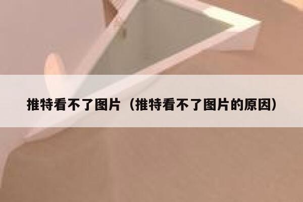 推特看不了图片（推特看不了图片的原因） 第1张