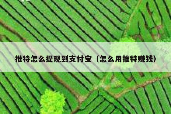 推特怎么提现到支付宝（怎么用推特赚钱） 第1张
