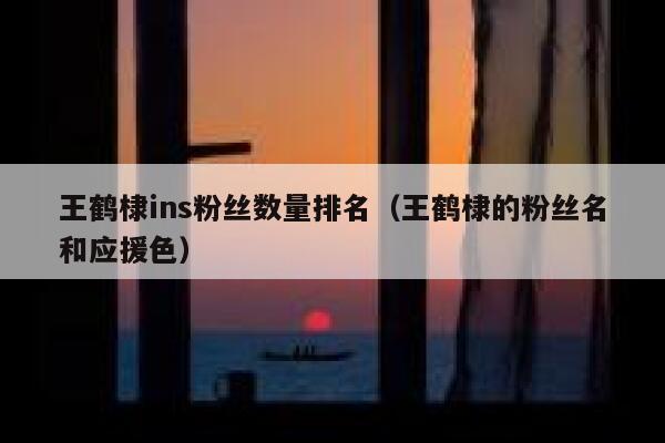 王鹤棣ins粉丝数量排名（王鹤棣的粉丝名和应援色） 第1张