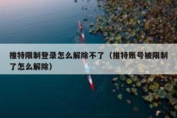 推特限制登录怎么解除不了（推特账号被限制了怎么解除） 第1张