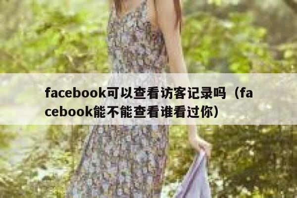 facebook可以查看访客记录吗（facebook能不能查看谁看过你） 第1张