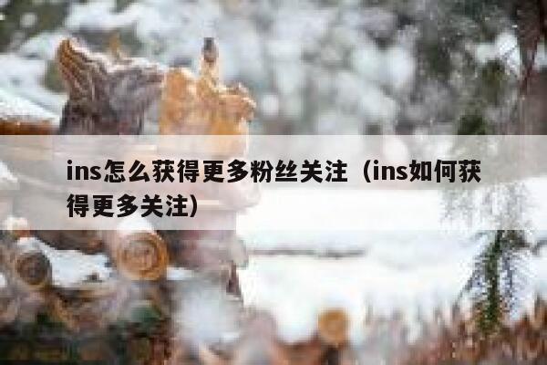ins怎么获得更多粉丝关注（ins如何获得更多关注） 第1张