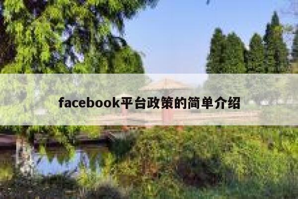 facebook平台政策的简单介绍 第1张