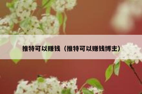 推特可以赚钱（推特可以赚钱博主） 第1张