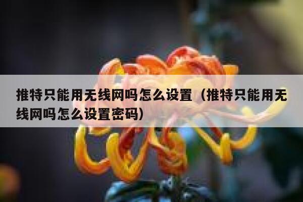 推特只能用无线网吗怎么设置（推特只能用无线网吗怎么设置密码） 第1张