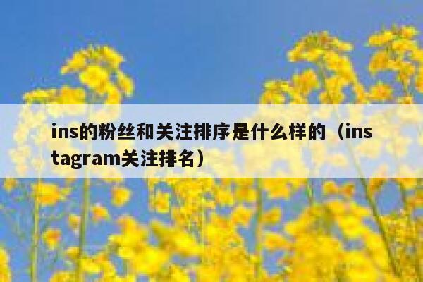 ins的粉丝和关注排序是什么样的（instagram关注排名） 第1张