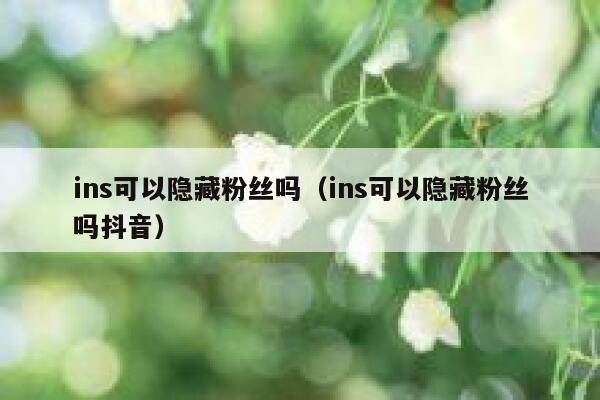 ins可以隐藏粉丝吗（ins可以隐藏粉丝吗抖音） 第1张