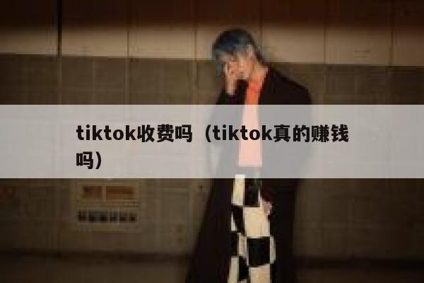 tiktok收费吗（tiktok真的赚钱吗） 第1张
