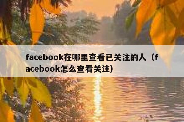 facebook在哪里查看已关注的人（facebook怎么查看关注） 第1张