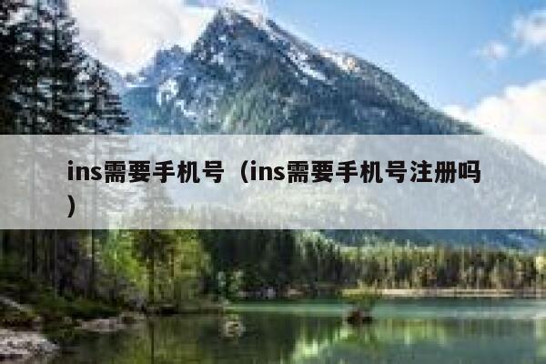 ins需要手机号（ins需要手机号注册吗） 第1张