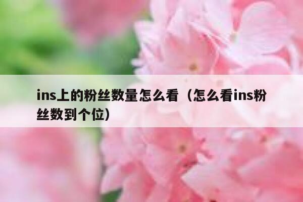 ins上的粉丝数量怎么看（怎么看ins粉丝数到个位） 第1张