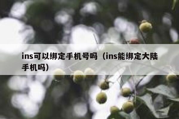 ins可以绑定手机号吗（ins能绑定大陆手机吗） 第1张