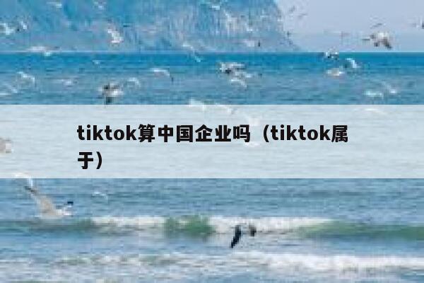 tiktok算中国企业吗（tiktok属于） 第1张