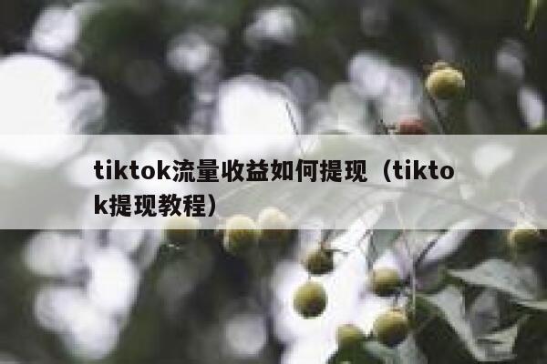 tiktok流量收益如何提现（tiktok提现教程） 第1张